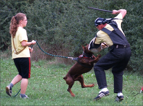 Summer training camp - Jelenec - 2007